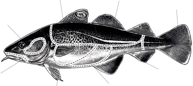 main-product