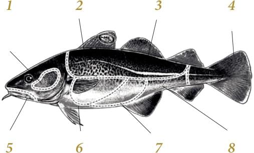 main-product