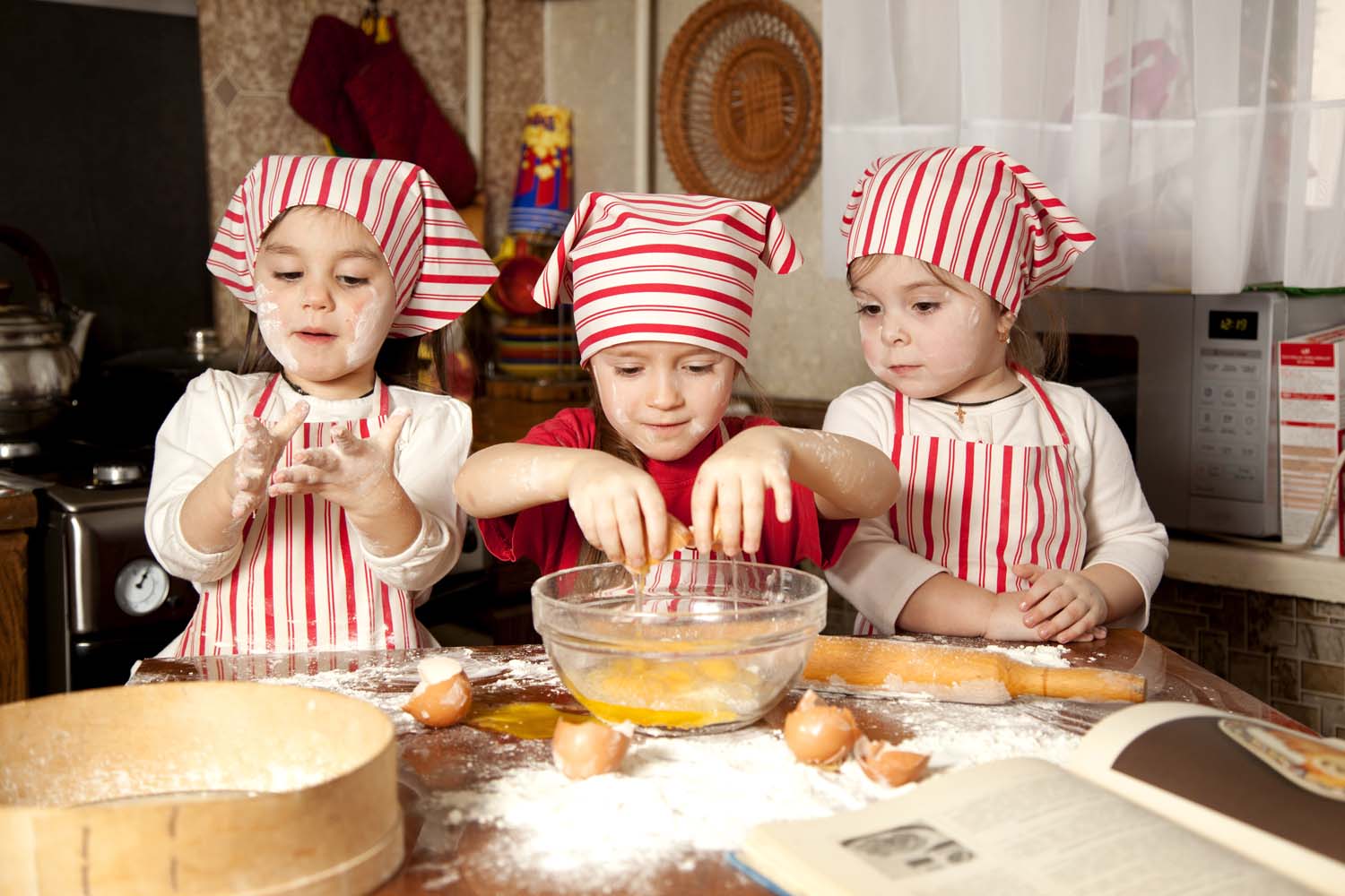 Escuelas de alimentación