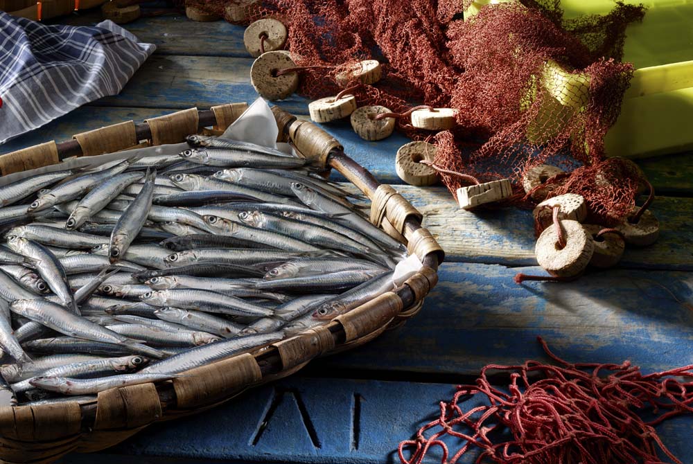 ¡Ya está aquí la anchoa del Cantábrico!