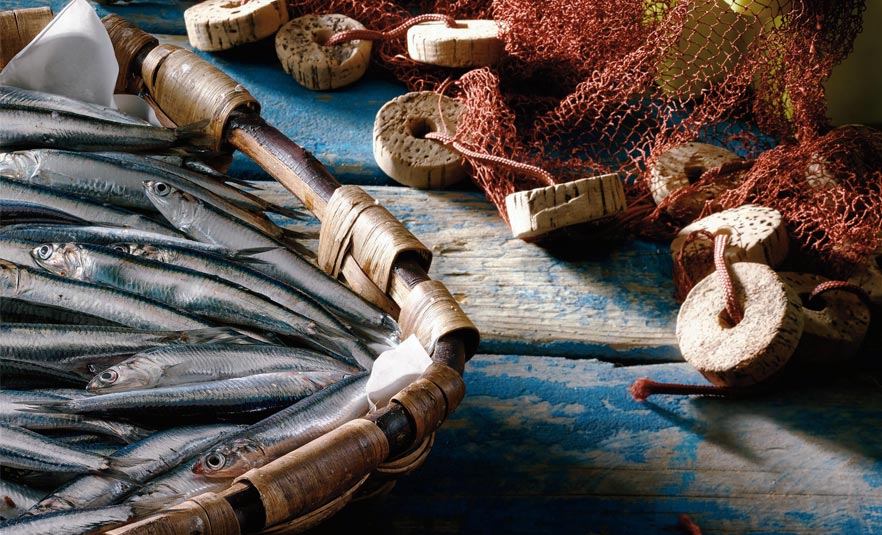 Vuelve la temporada de anchoa, ¡la auténtica del mar Cantábrico!
