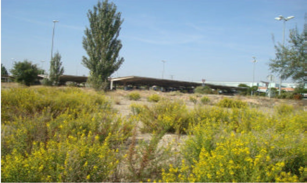 Inmobiliaria