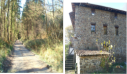 Inmobiliaria