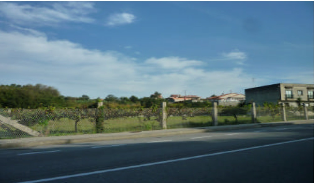 Inmobiliaria