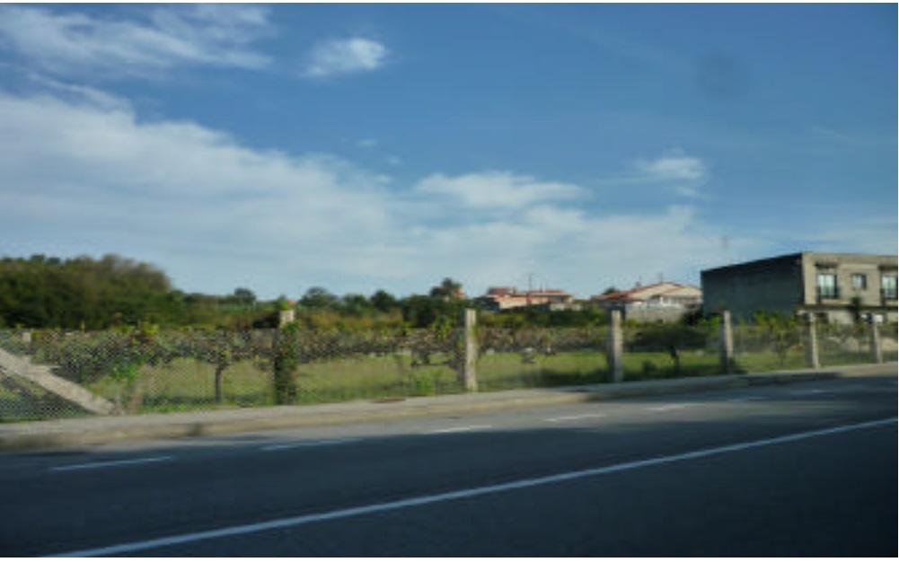 Inmobiliaria