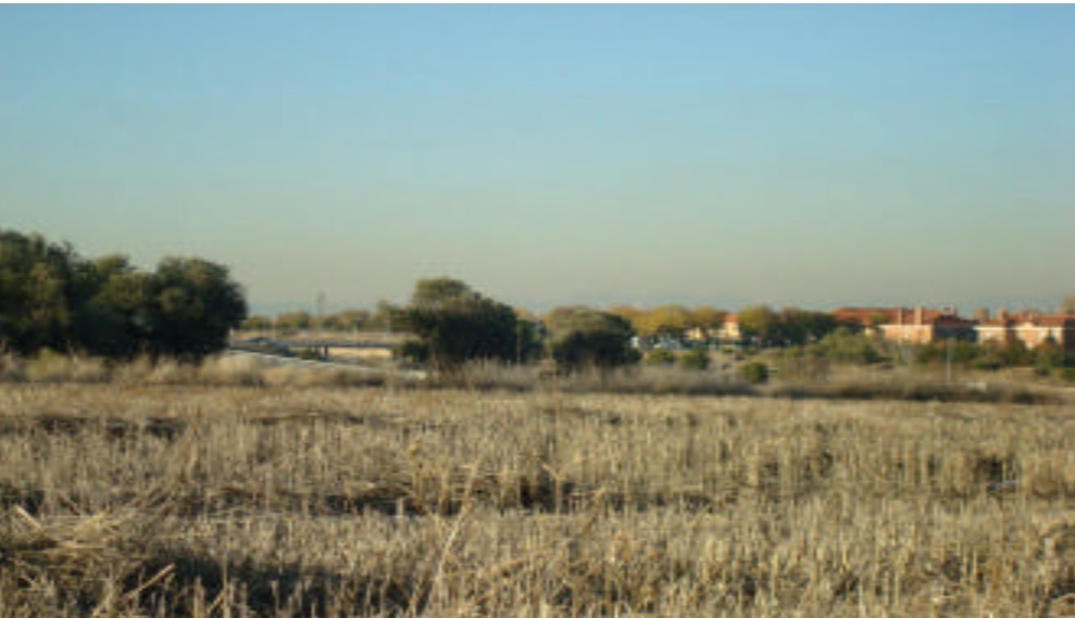 Inmobiliaria