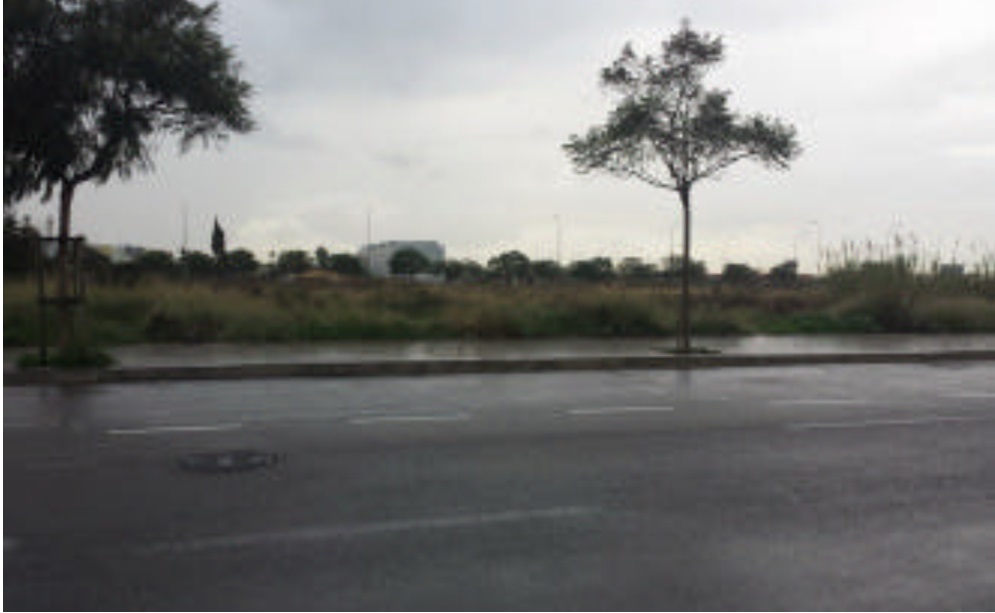 Inmobiliaria