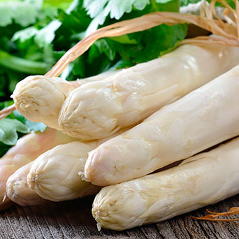 Conserva vegetal