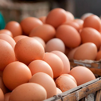 Huevos
