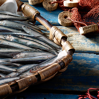 Pescado