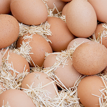Huevos