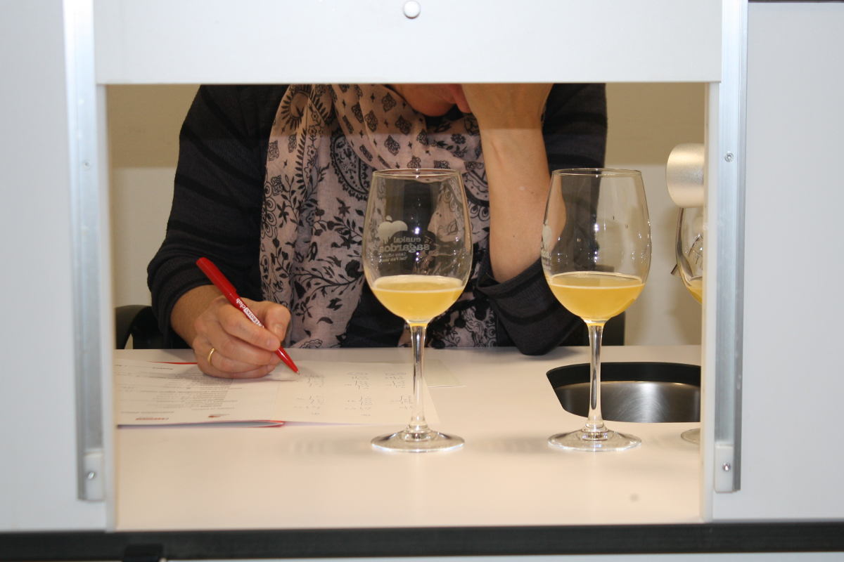 Ya tenemos en nuestras tiendas la nueva sidra EROSKI SELEQTIA D.O. EUSKAL SAGARDOA que fue elegida por nuestros clientes