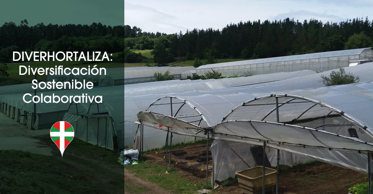 Lideramos un proyecto de cooperación junto a horticultores del País Vasco
