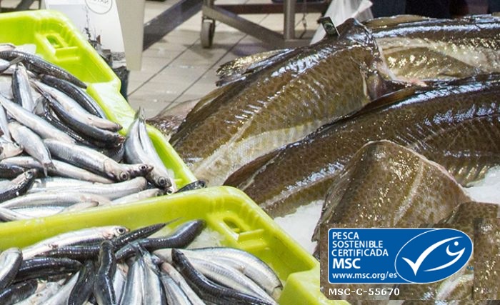 Política de pesca sostenible