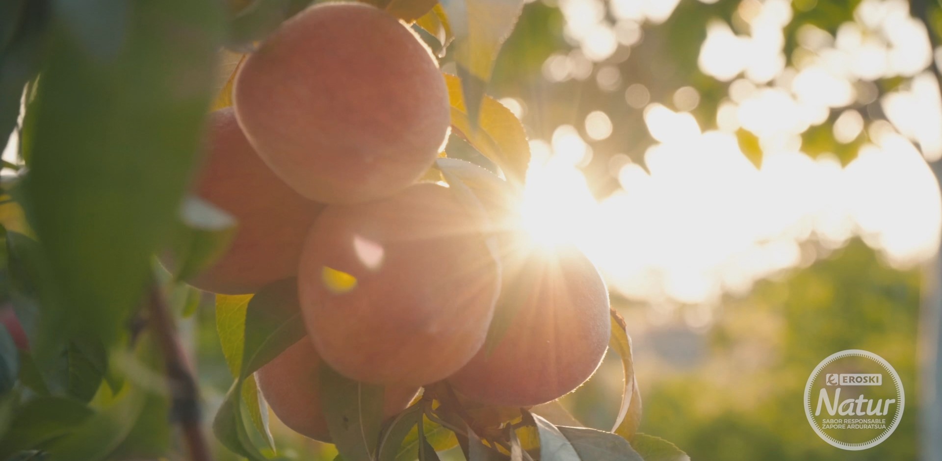 Verano saludable y sostenible con la fruta de hueso EROSKI Natur