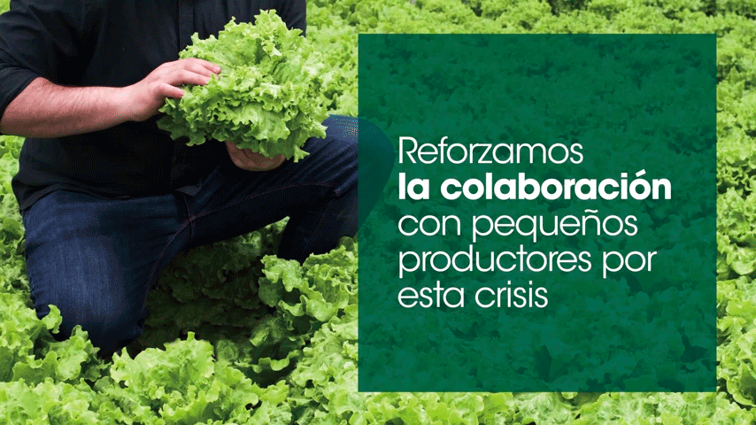 Colaboramos con los productores locales que han perdido su canal de venta habitual