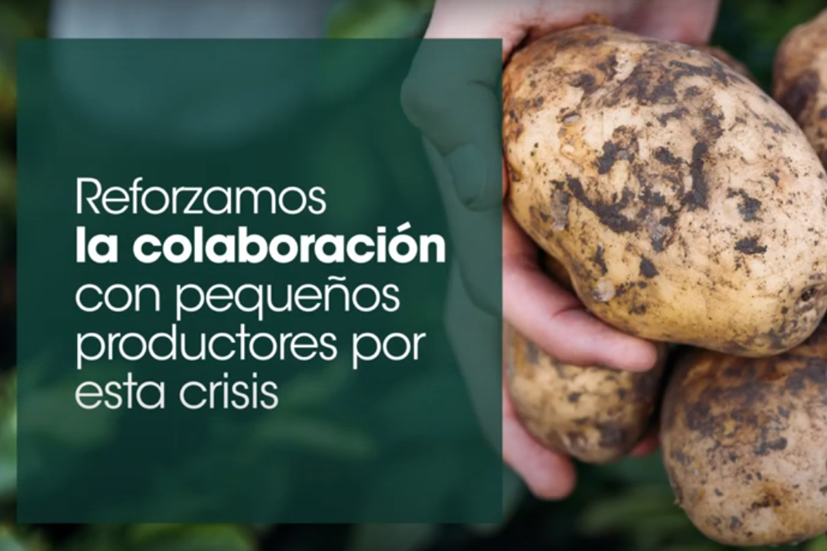 Colaboramos en la comercialización de patata de Álava Euskal Baserri