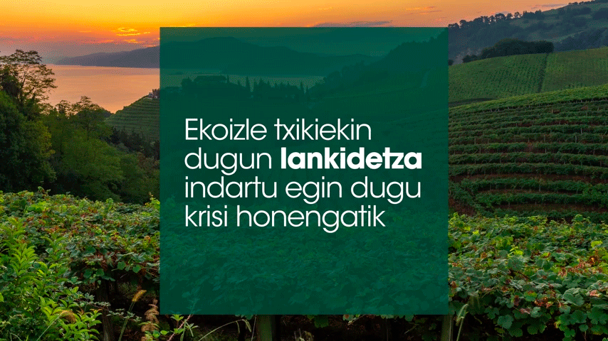 Hitzarmen bat egin dute EROSKI-k eta bizkaiko txakolinaren kontseilu erregulatzaileak txakolinaren salmenta sustatzeko