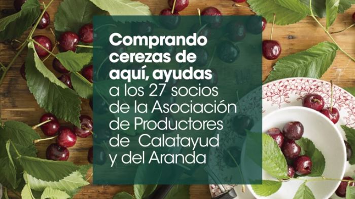 Colaboramos con pequeños productores de cereza de Calatayud y Aranda