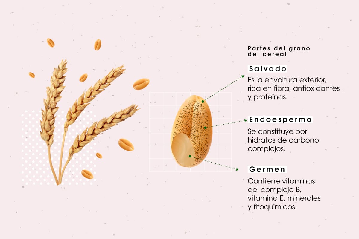 Ezagutu bihi osoko zerealen nutrizio-balioa eta ikasi osasun arloan eskaintzen dizkizuten onura guztiak