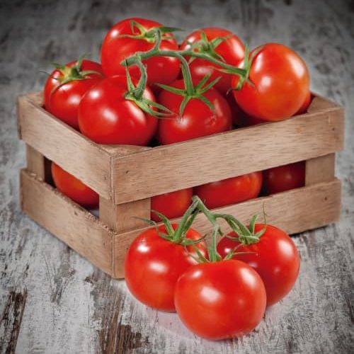 500 x 62216-tomate
