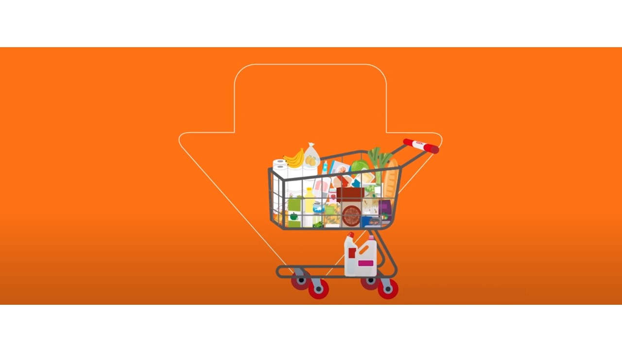 25 produktu dituen orga oso bat, 60 € baino gutxiagoren truke!