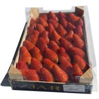 Fresa  caja 1 kg