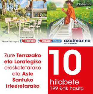 Finantzaketa 10 hilabetetan*