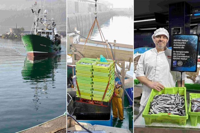 Así se pesca la anchoa del Cantábrico