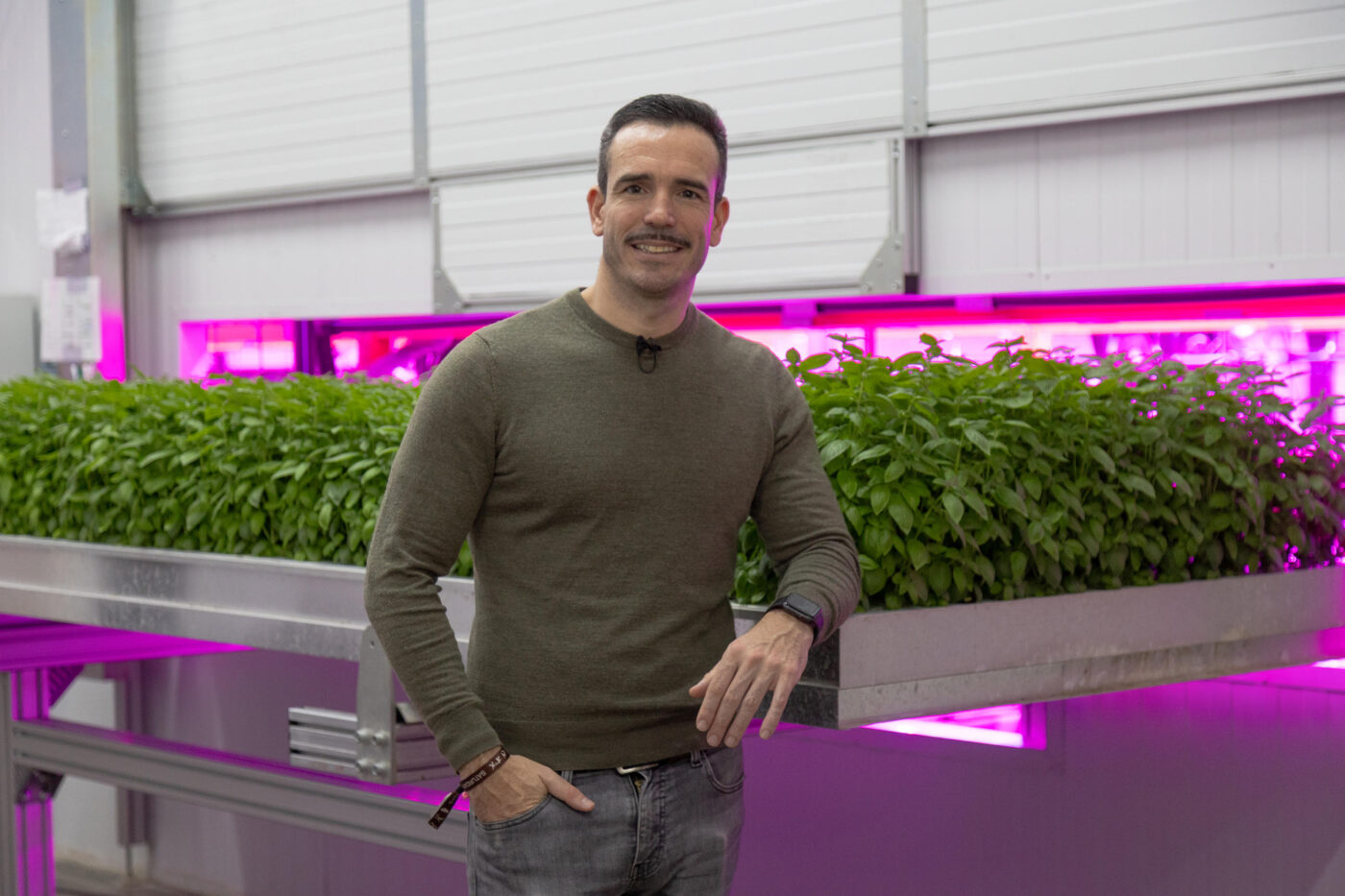 Alimenta Lo Que Piensas